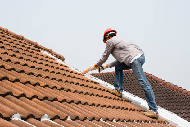 Best Roof Inspection  in Shawneetown, IL