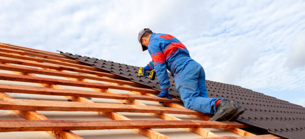 Best Gutter Installation and Repair  in Shawneetown, IL
