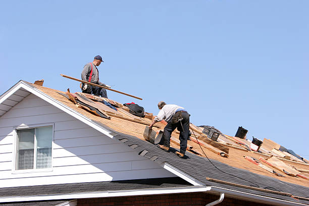 Best Roof Maintenance and Cleaning  in Shawneetown, IL